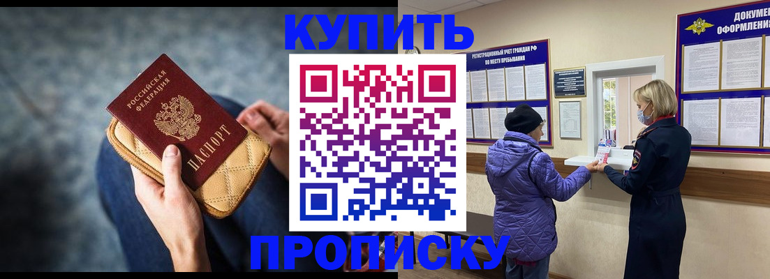 прописка законно в Сольцах