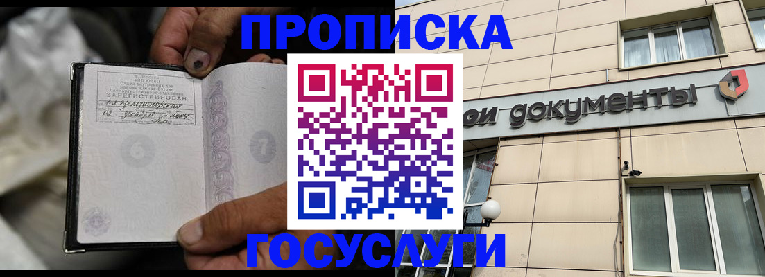 найти адрес прописки в Сольцах